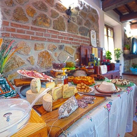 Agriturismo La Valle Degli Ulivi Semproniano Ngoại thất bức ảnh