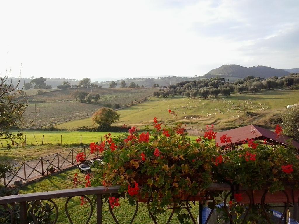 Agriturismo La Valle Degli Ulivi Semproniano Ngoại thất bức ảnh