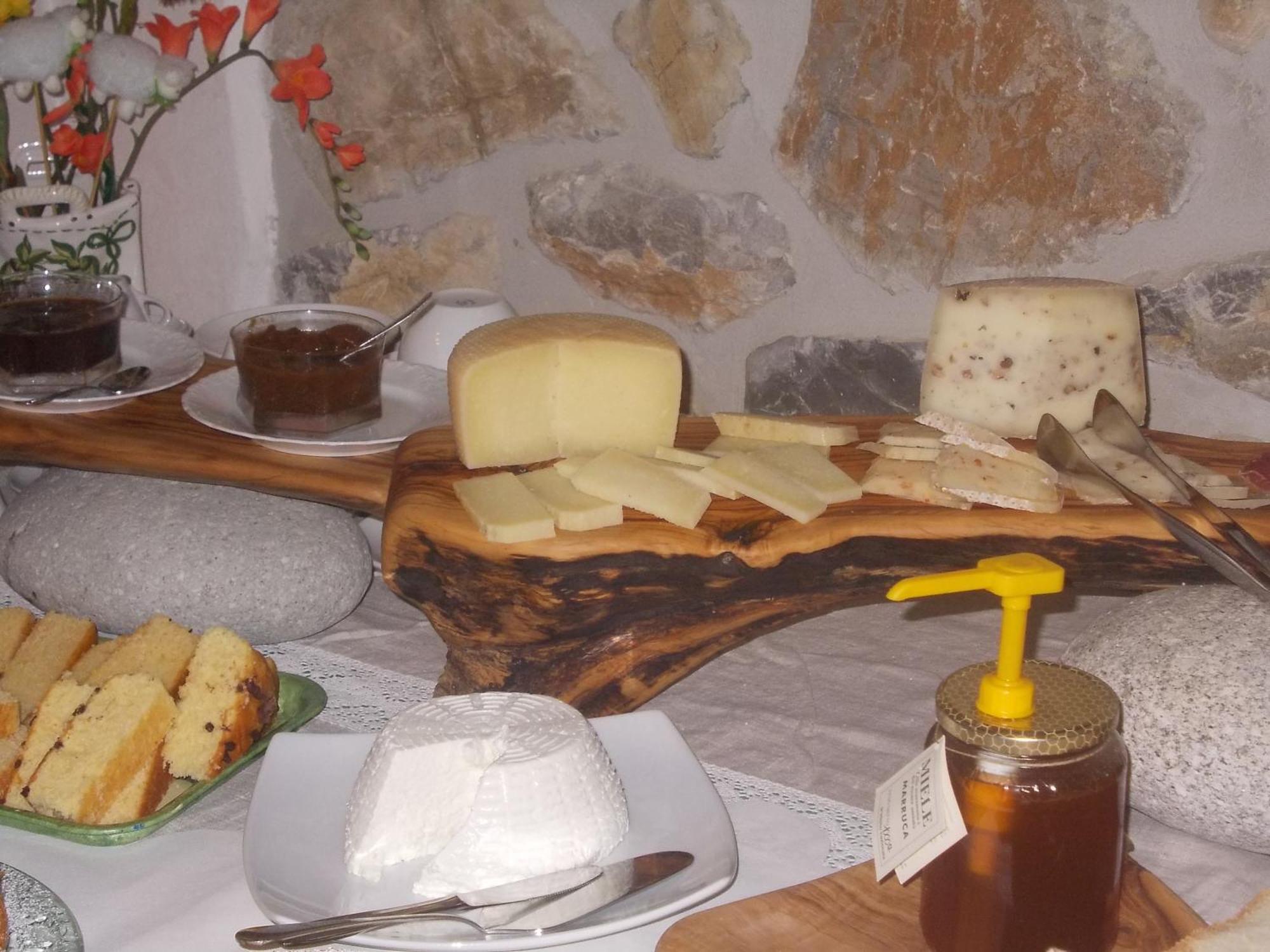 Agriturismo La Valle Degli Ulivi Semproniano Ngoại thất bức ảnh