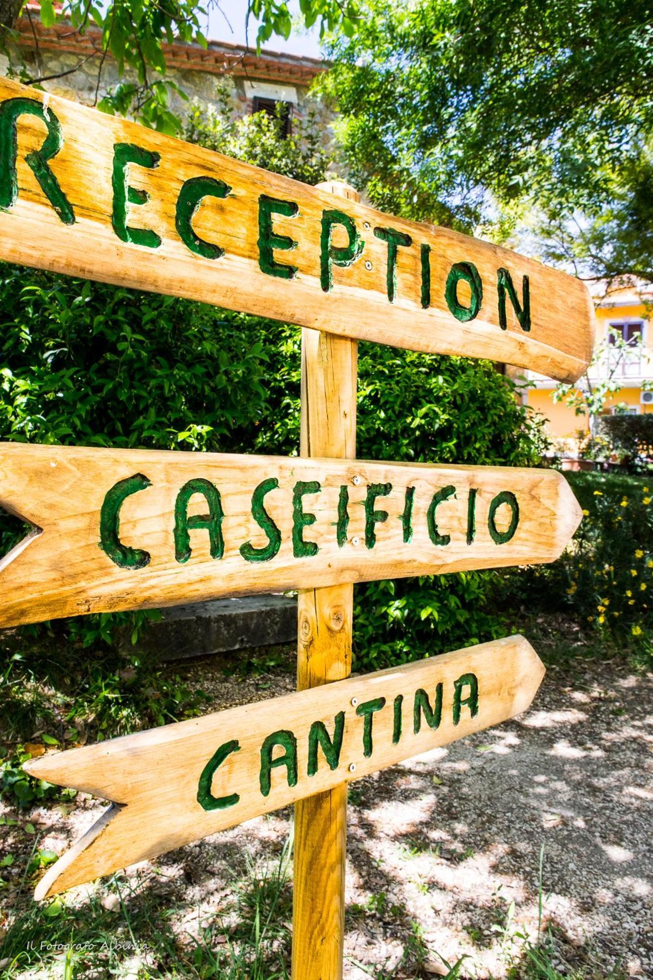 Agriturismo La Valle Degli Ulivi Semproniano Ngoại thất bức ảnh