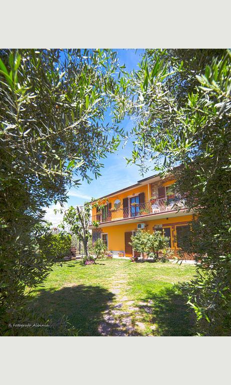 Agriturismo La Valle Degli Ulivi Semproniano Ngoại thất bức ảnh