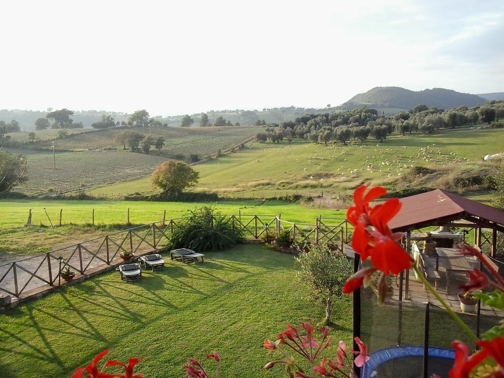 Agriturismo La Valle Degli Ulivi Semproniano Ngoại thất bức ảnh