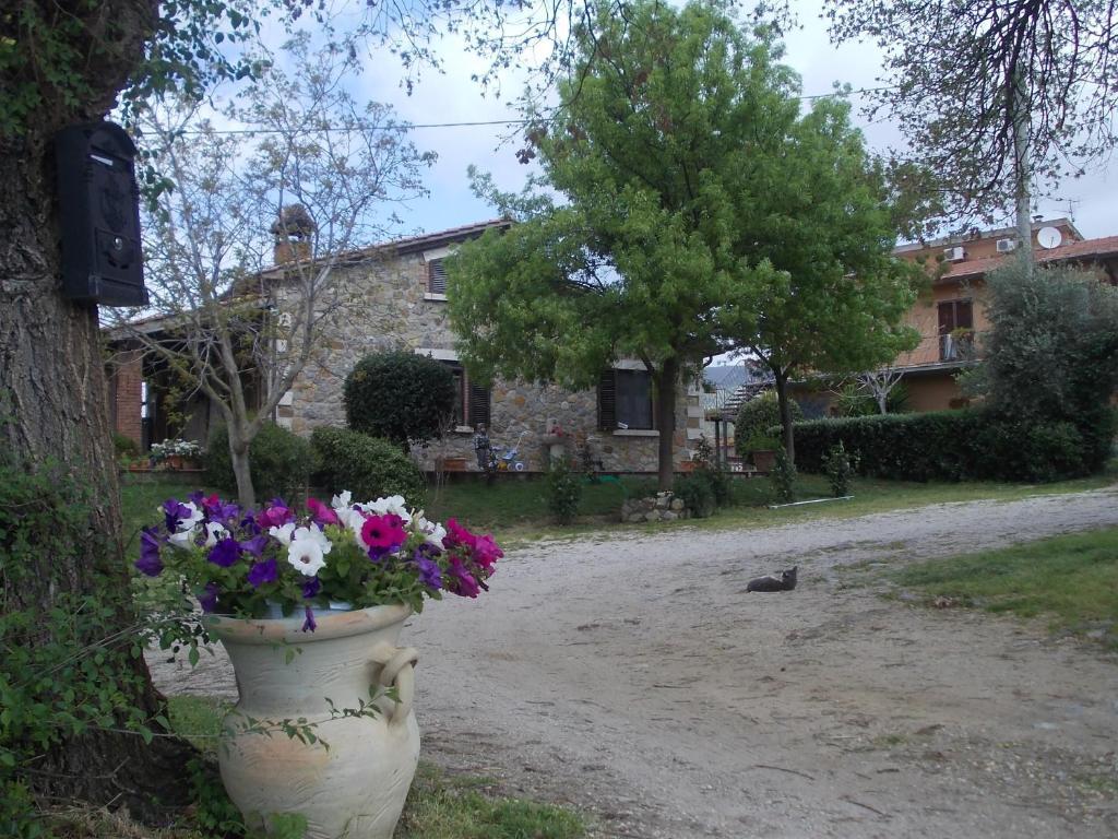 Agriturismo La Valle Degli Ulivi Semproniano Ngoại thất bức ảnh